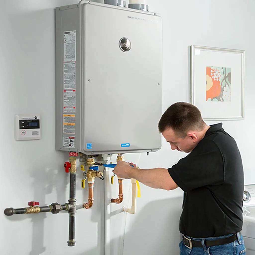 tankless water heater repair in Protem, MO